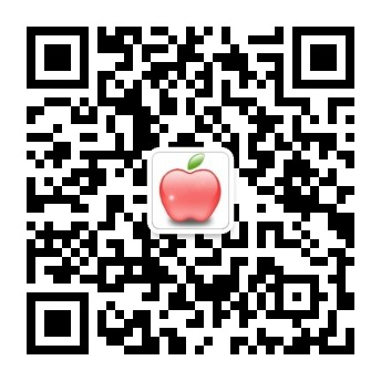 手机怎么登录网址上网